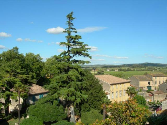 Chambres d'hôtes Le Clos de Vènes Saint-Couat-dʼAude Exterior foto